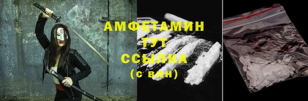 индика Абаза