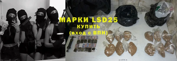 индика Абаза