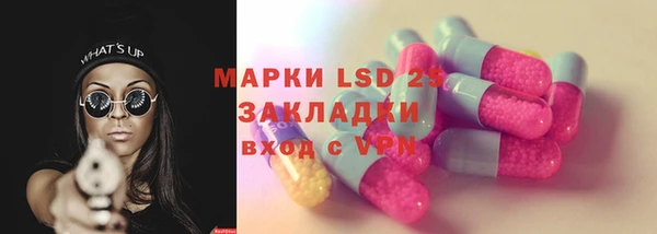 индика Абаза