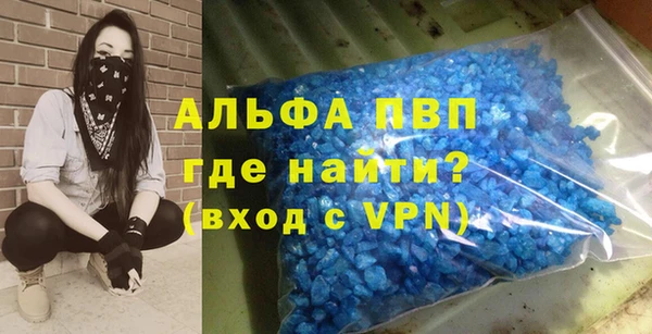 индика Абаза