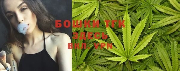 индика Абаза