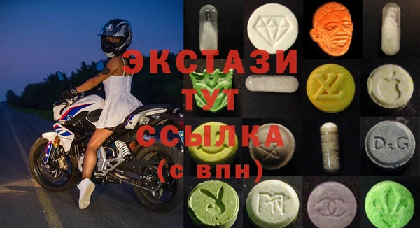 индика Абаза