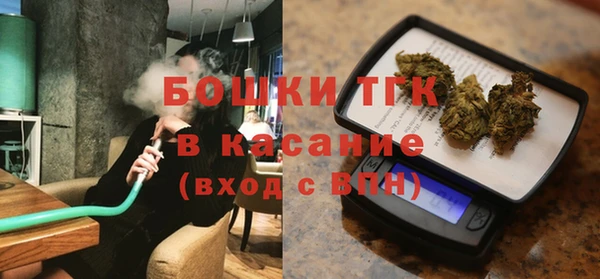 индика Абаза