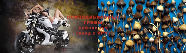 твердый Абинск