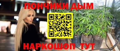 прущие грибы Обнинск