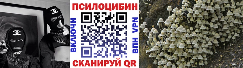 Псилоцибиновые грибы прущие грибы  где найти   Хабаровск 