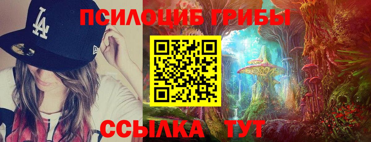 Галлюциногенные грибы GOLDEN TEACHER  Вход с VPN  Псилоцибиновые грибы Psilocybe  Хабаровск 